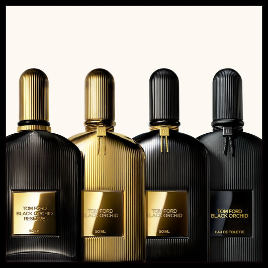 Black Orchid Discovery Collection